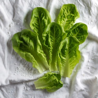 Fresh Romaine Lettuce Leaves on White Fabric