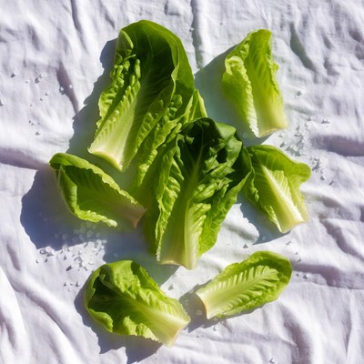 Fresh Lettuce Leaves with Salt
