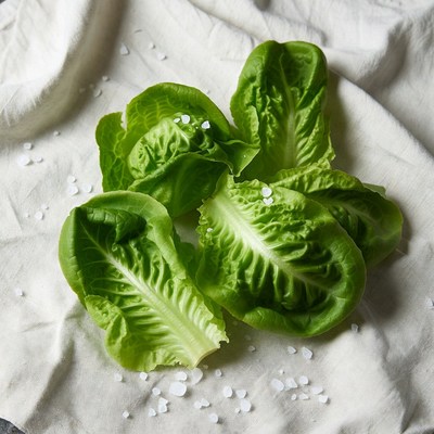 Fresh lettuce leaves with salt