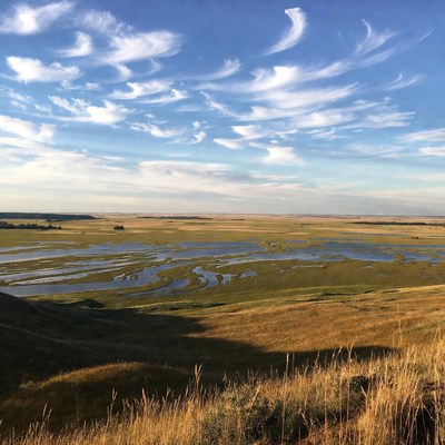 Scenic Wetlands Landscape with Cirrus Clouds