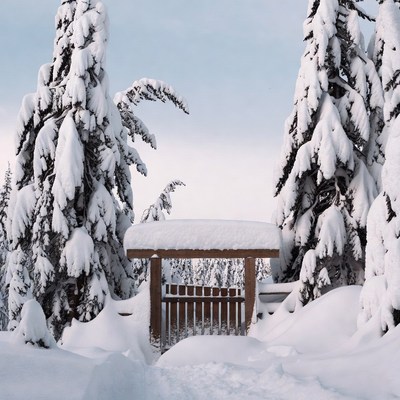Snowy Wooden Gate in Forest