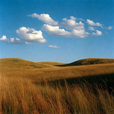 Golden Hills Under Blue Sky