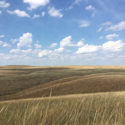 Rolling Hills Under Blue Sky