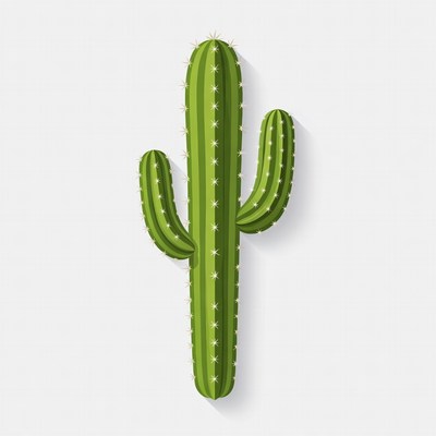 Green cactus illustration isolated