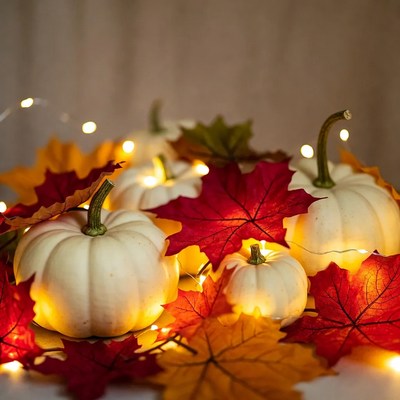 White Pumpkins with Fall Leaves