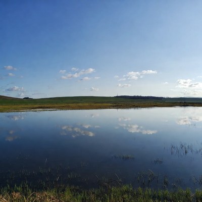 Reflective Pond in Green Fields