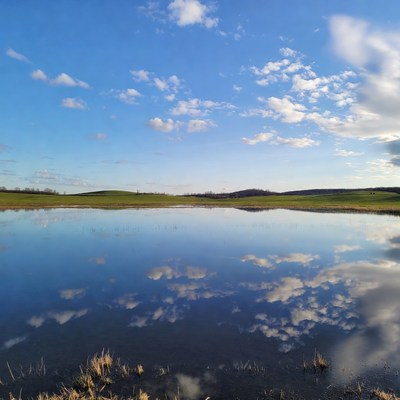 Reflective Pond with Blue Sky and Clouds