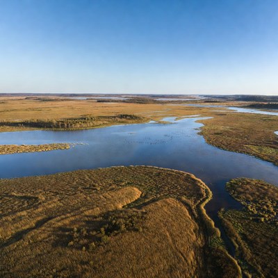 Aerial View of Marshland with Rivers