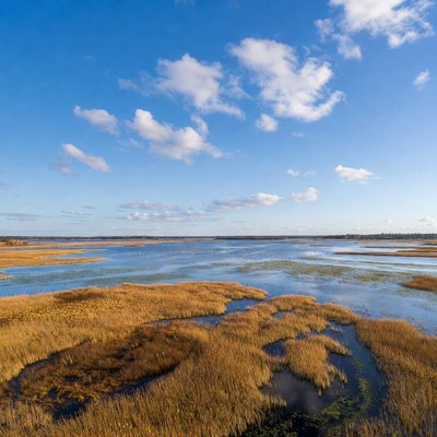 Aerial View of Golden Marshes and Water