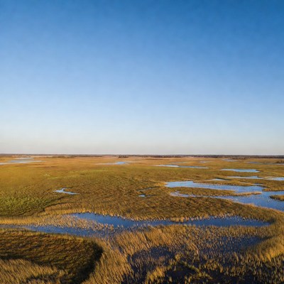 Aerial View of Golden Marshes
