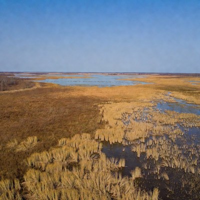 Aerial View of Wetlands Marshland