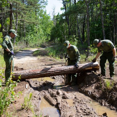 Park rangers lifting log over muddy trail