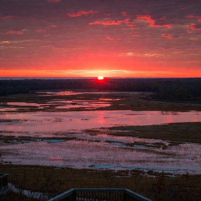 Sunset over marsh wetlands