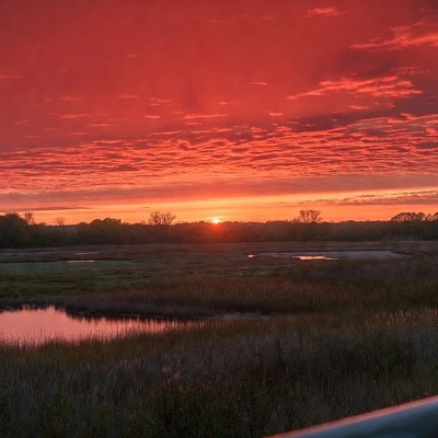 Vibrant Red Sunset over Marshland