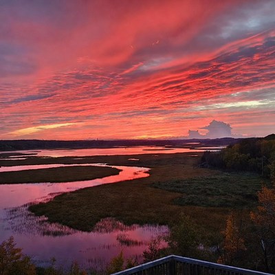 Vibrant Red Sunset over Wetlands