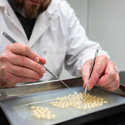 Man in lab coat handling fish eggs