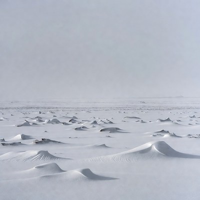Snowy Landscape with Wind-Sculpted Dunes