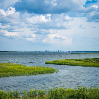 City Skyline over Marshy Bay