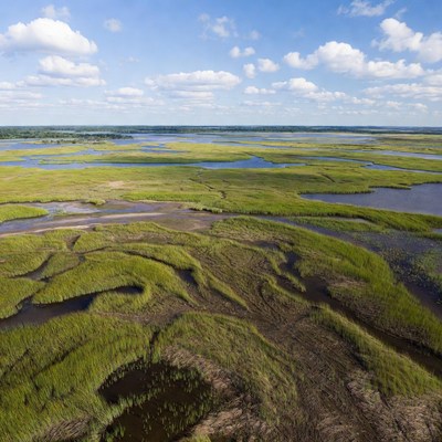 Aerial View of Marshland Wetlands