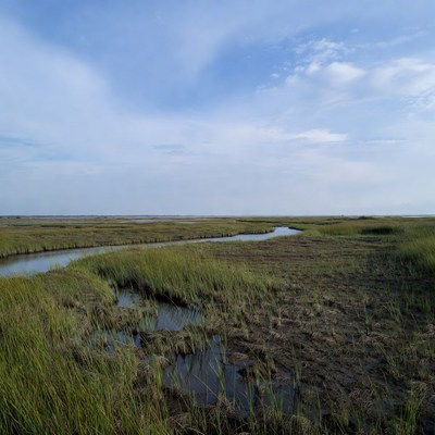 Marshland with winding creek under blue sky