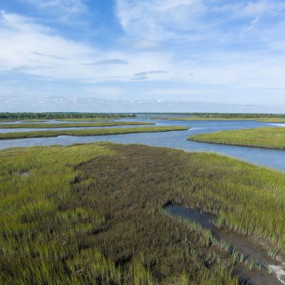 Aerial View of Marshlands and Water Channels