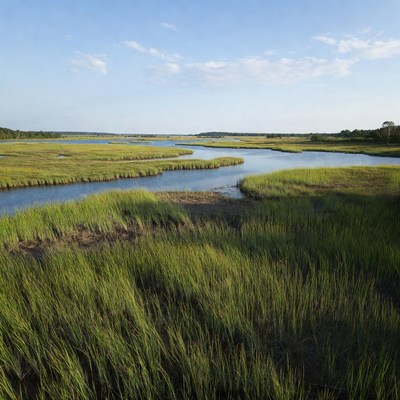 Marshland with winding waterways