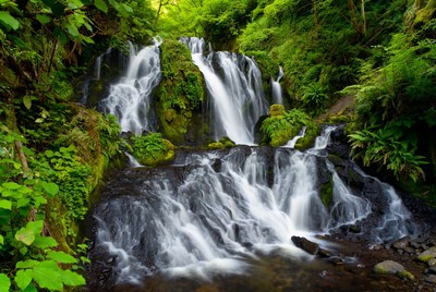 Cascading Waterfall in Lush Green Forest