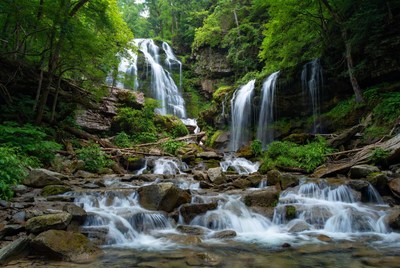 Majestic Waterfalls in Lush Forest
