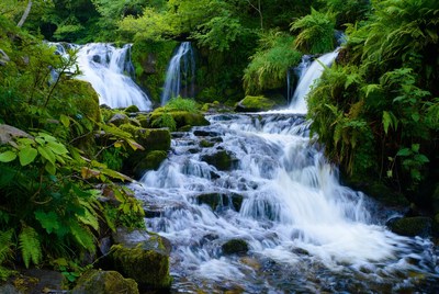 Cascading Waterfalls in Lush Green Forest