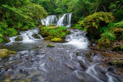 Cascading Waterfall in Lush Green Forest