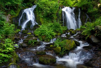 Twin Waterfalls in Lush Green Forest