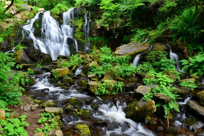 Waterfall cascading over mossy rocks