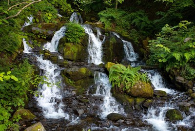 Mossy Waterfall in Lush Green Forest