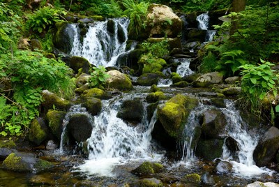 Waterfall cascading over mossy rocks