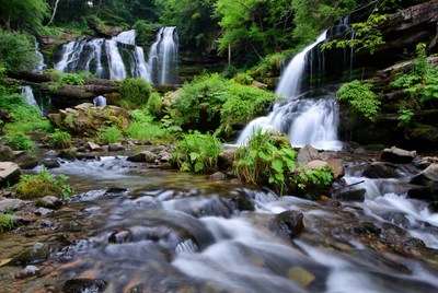 Majestic Waterfall in Lush Green Forest