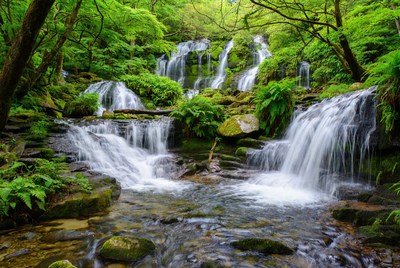 Waterfalls in Lush Green Forest