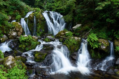Cascading Waterfall in Lush Forest