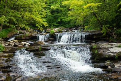 Waterfall cascading over rocks in green forest