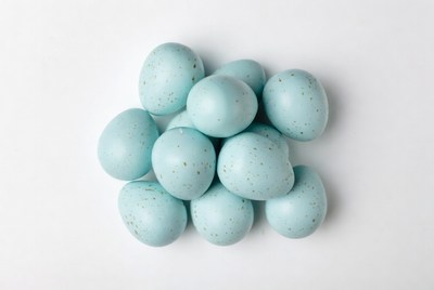 Pile of Blue Speckled Bird Eggs