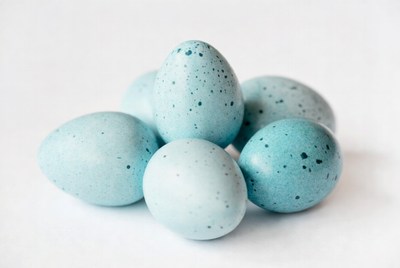 Pile of Blue Speckled Eggs