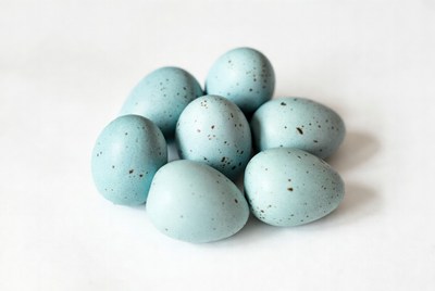 Cluster of Blue Speckled Eggs