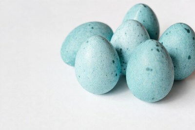 Cluster of Blue Robin Eggs