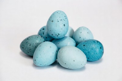 Pile of Blue Speckled Eggs