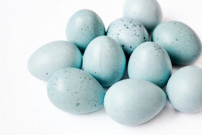 Cluster of Blue Robin Eggs