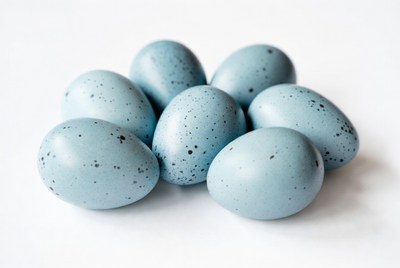 Cluster of blue speckled eggs