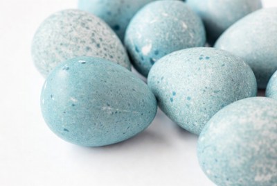 Cluster of Blue Speckled Eggs