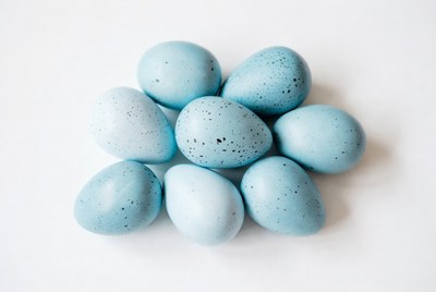 Cluster of Blue Speckled Eggs
