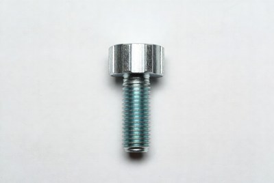 Cap Screw Bolt on White Background