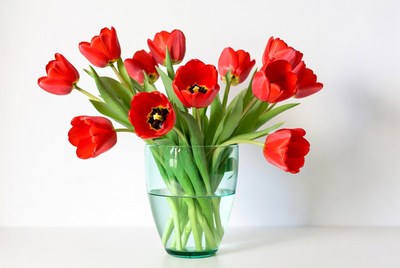 Red Tulips in Clear Glass Vase