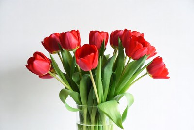 Red Tulips in Glass Vase
